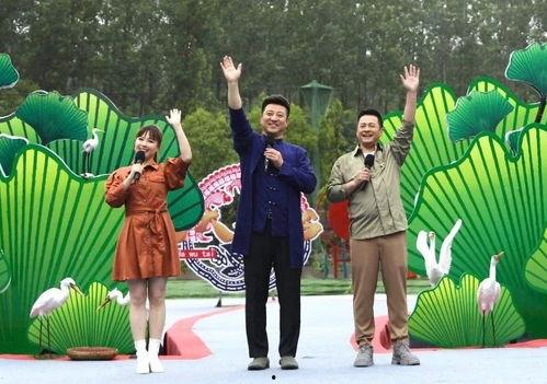 林培传媒最新爆料视频,最新爆料视频深度解析  第2张